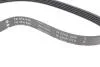 PASEK WIELOROWK. 5PK836 INA FB5PK836 (фото 2)