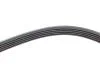 PASEK WIELOROWK. 5PK836 INA FB5PK836 (фото 3)