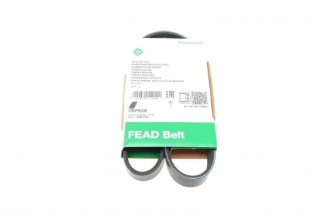 PASEK WIELOROWK. 5PK836 INA FB5PK836
