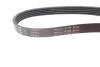 PASEK WIELOROWK. 5PK865 INA FB5PK865 (фото 2)