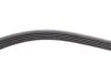 PASEK WIELOROWK. 5PK865 INA FB5PK865 (фото 3)