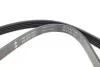 PASEK WIELOROWK. 5PK869 INA FB5PK869 (фото 2)