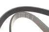 PASEK WIELOROWK. 6PK1084 INA FB6PK1084 (фото 2)