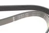 PASEK WIELOROWK. 6PK1084 INA FB6PK1084 (фото 3)