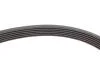 PASEK WIELOROWK. 6PK1084 INA FB6PK1084 (фото 4)