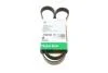 PASEK WIELOROWK. 6PK1230 FB6PK1230