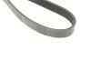 Фото 3 - pasek wielorowk. 6pk1255 INA FB6PK1255 PASEK WIELOROWK. 6PK1255 INA FB6PK1255 (фото 3)