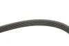PASEK WIELOROWK. 6PK1320 INA FB6PK1320 (фото 3)