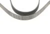 PASEK WIELOROWK. 6PK1320 INA FB6PK1320 (фото 4)