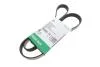 PASEK WIELOROWK. 6PK1325 FB6PK1325