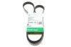 PASEK WIELOROWK. 6PK1453 FB6PK1453