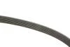 PASEK WIELOROWK. 6PK1453 INA FB6PK1453 (фото 3)