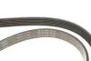 PASEK WIELOROWK. 6PK1453 INA FB6PK1453 (фото 4)