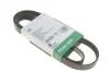 PASEK WIELOROWK. 6PK1495 FB6PK1495