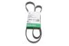 PASEK WIELOROWK. 6PK1530 FB6PK1530
