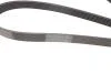 PASEK WIELOROWK. 6PK1530 INA FB6PK1530 (фото 3)