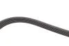PASEK WIELOROWK. 6PK1530 INA FB6PK1530 (фото 4)
