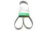 PASEK WIELOROWK. 6PK1540 FB6PK1540