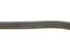 PASEK WIELOROWK. 6PK1540 INA FB6PK1540 (фото 3)