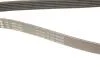 PASEK WIELOROWK. 6PK1540 INA FB6PK1540 (фото 4)