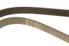 PASEK WIELOROWK. 6PK1540 INA FB6PK1540 (фото 5)