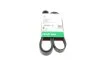 PASEK WIELOROWK. 6PK1570 FB6PK1570