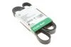 PASEK WIELOROWK. 6PK1590 FB6PK1590