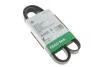 Ремень генератора FB 6PK1600