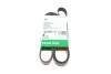 PASEK WIELOROWK. 6PK1605 INA FB6PK1605 (фото 1)