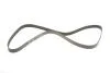 PASEK WIELOROWK. 6PK1605 INA FB6PK1605 (фото 2)