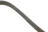 PASEK WIELOROWK. 6PK1605 INA FB6PK1605 (фото 3)