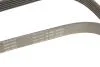 PASEK WIELOROWK. 6PK1605 INA FB6PK1605 (фото 4)