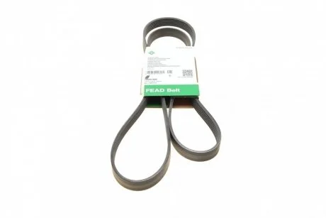 PASEK WIELOROWK. 6PK1800 INA FB6PK1800