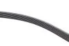PASEK WIELOROWK. 6PK1840 INA FB6PK1840 (фото 3)