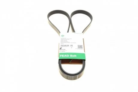 PASEK WIELOROWK. 6PK1893 INA FB6PK1893
