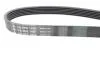 PASEK WIELOROWK. 6PK1920 INA FB6PK1920 (фото 2)
