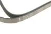 PASEK WIELOROWK. 6PK1950 INA FB6PK1950 (фото 5)