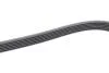 PASEK WIELOROWK. 6PK2020 INA FB6PK2020 (фото 3)