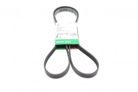 PASEK WIELOROWK. 6PK2020 INA FB6PK2020