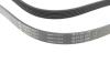 PASEK WIELOROWK. 6PK2077 INA FB6PK2077 (фото 2)