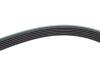 PASEK WIELOROWK. 6PK2077 INA FB6PK2077 (фото 3)