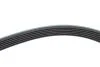 PASEK WIELOROWK. 6PK2077 INA FB6PK2077 (фото 3)