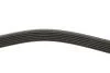 Фото 3 - pasek wielorowk. 6pk2140 INA FB6PK2140 PASEK WIELOROWK. 6PK2140 INA FB6PK2140 (фото 3)
