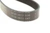 Фото 4 - pasek wielorowk. 6pk2140 INA FB6PK2140 PASEK WIELOROWK. 6PK2140 INA FB6PK2140 (фото 4)
