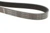 Фото 5 - pasek wielorowk. 6pk2140 INA FB6PK2140 PASEK WIELOROWK. 6PK2140 INA FB6PK2140 (фото 5)