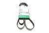 PASEK WIELOROWK. 6PK2250 INA FB6PK2250 (фото 1)