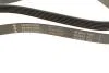 PASEK WIELOROWK. 6PK2250 INA FB6PK2250 (фото 2)
