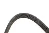PASEK WIELOROWK. 6PK2250 INA FB6PK2250 (фото 3)