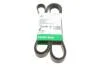 PASEK WIELOROWK. 6PK2490 FB6PK2490