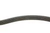 PASEK WIELOROWK. 6PK2490 INA FB6PK2490 (фото 3)